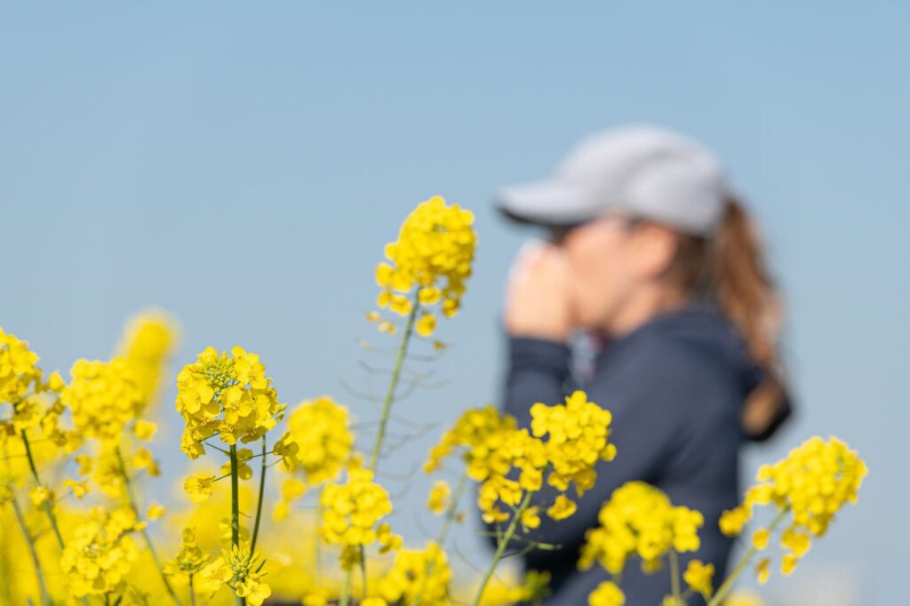 What Is Pollen Allergy? Banner