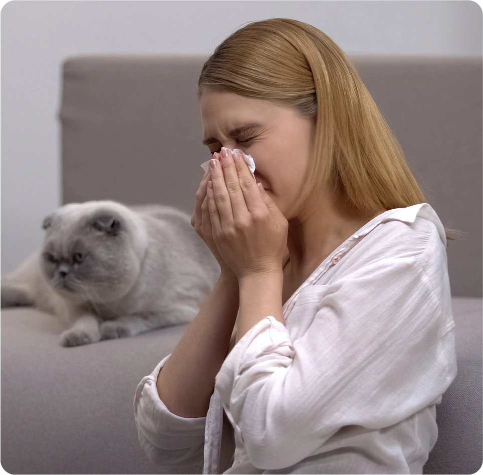 Candidates for Cat Allergy Treatment in San Mateo, California Banner